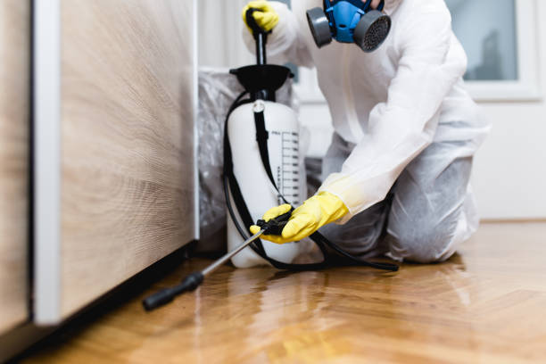 Best Affordable Pest Control Services  in East Missoula, MT
