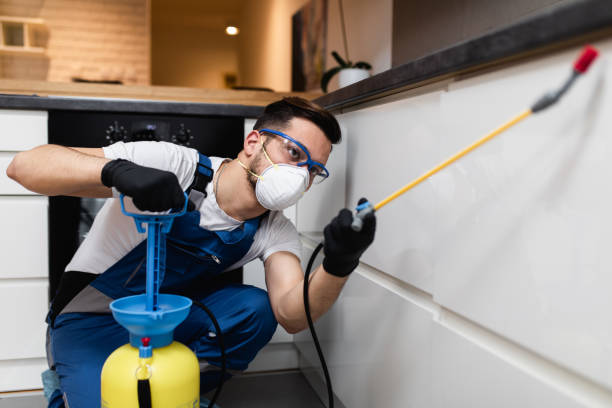 Best Emergency Pest Control  in East Missoula, MT