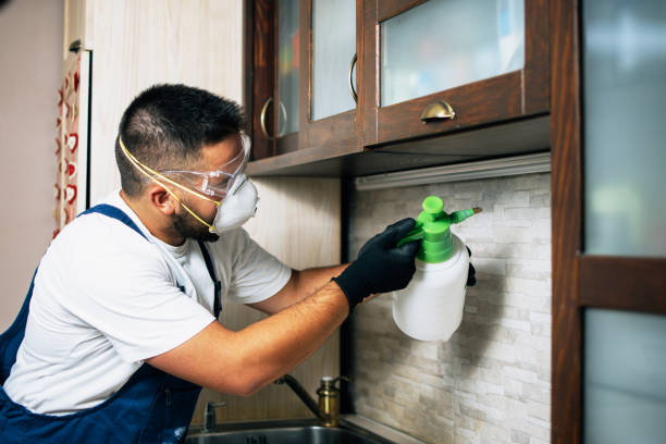 Reliable East Missoula, MT Pest Control Solutions