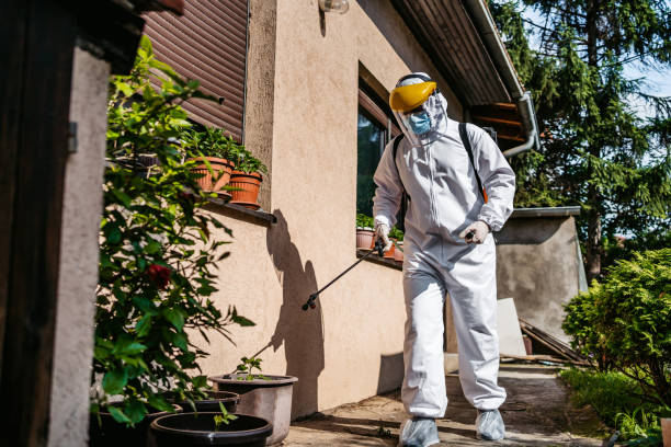 Best Best Pest Control Companies  in East Missoula, MT