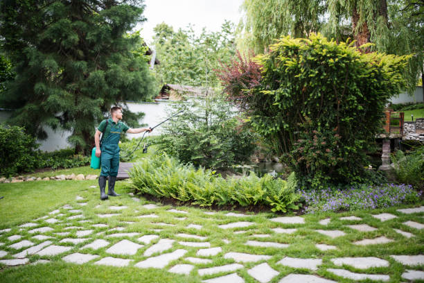 Best Residential Pest Control  in East Missoula, MT