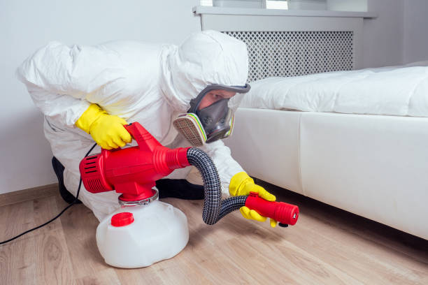 Best Mosquito Control Services  in East Missoula, MT