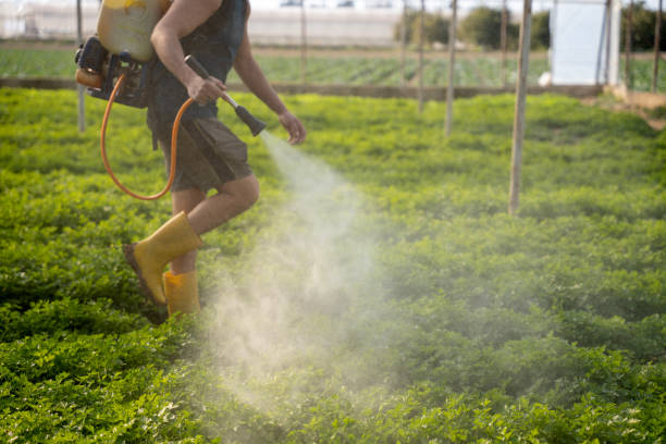 Best Pest Prevention Services  in East Missoula, MT