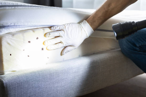 Best Commercial Pest Control Services  in East Missoula, MT