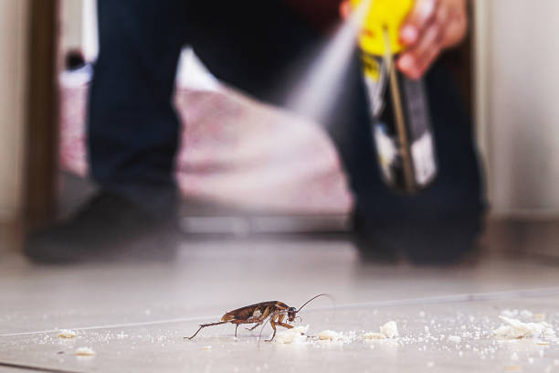 Best Pest Control Near Me  in East Missoula, MT