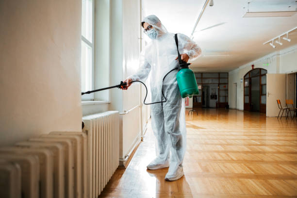 Best Pest Control for Homes  in East Missoula, MT