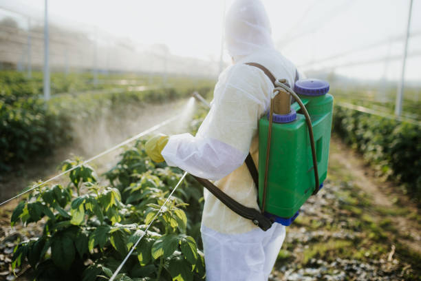 Best Cockroach Control Services  in East Missoula, MT
